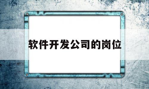 软件开发公司的岗位(软件开发公司都有什么部门)