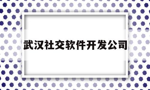 武汉社交软件开发公司(武汉社交软件开发公司招聘)