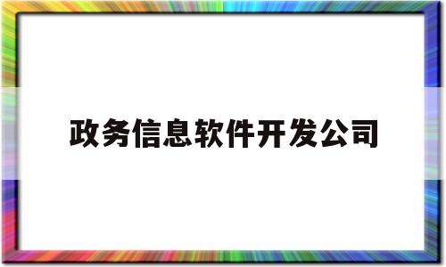 政务信息软件开发公司(政务行业10大软件公司)