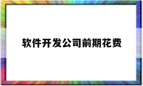 软件开发公司前期花费(软件开发公司前期花费多少钱)