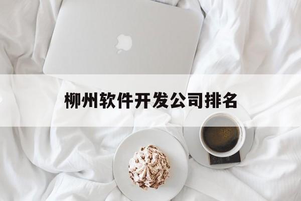 柳州软件开发公司排名(柳州c++开发工程师招聘)