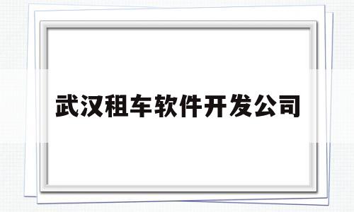 武汉租车软件开发公司(武汉软件外包公司有哪些)