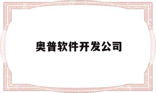 奥普软件开发公司(奥普集团控股有限公司)