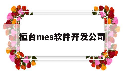 桓台mes软件开发公司(工厂mes用什么软件开发)