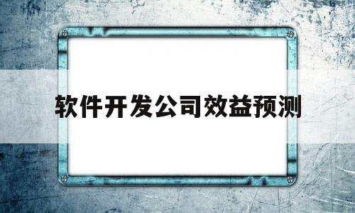 软件开发公司效益预测(软件开发价格估算)