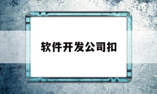 软件开发公司扣(软件开发公司需要多少资金)