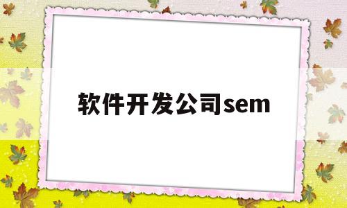 软件开发公司sem(软件开发公司杰迅科技)