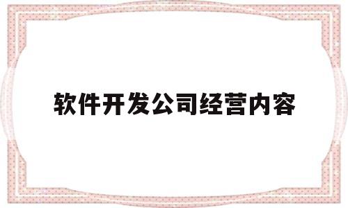 软件开发公司经营内容(软件技术开发公司经营范围)