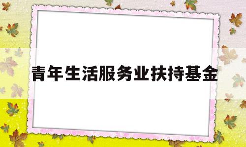 青年生活服务业扶持基金(青年生活服务业扶持基金有哪些)