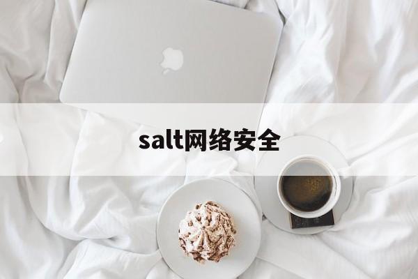 salt网络安全(网络安全 sunwear)