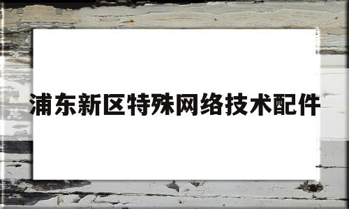 浦东新区特殊网络技术配件(上海浦东新区网络公司有哪些)