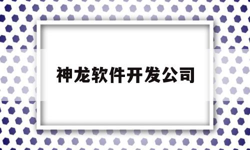 神龙软件开发公司(神龙信息科技有限公司)