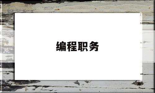 编程职务(编程的职业)