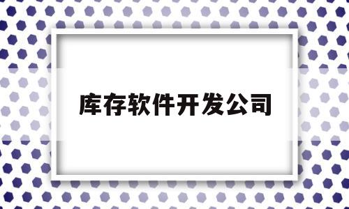 库存软件开发公司(库存软件开发公司排名)