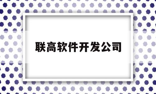 联高软件开发公司(联高软件开发公司是国企吗)