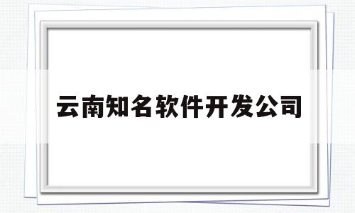 云南知名软件开发公司(云南软件开发公司排名56)