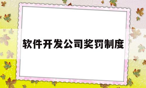 软件开发公司奖罚制度(软件开发项目奖惩管理制度)