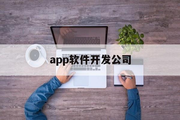 app软件开发公司(怎样自己开发一款软件)