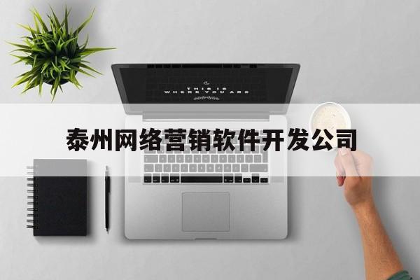 泰州网络营销软件开发公司(泰州网络营销软件开发公司招聘)