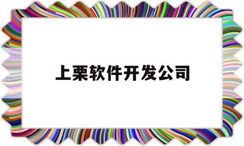 包含上栗软件开发公司的词条