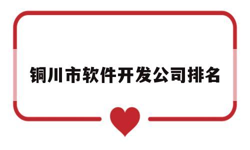 铜川市软件开发公司排名的简单介绍