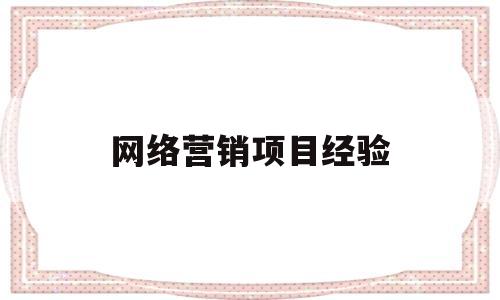 网络营销项目经验(网络营销项目实施经验总结)