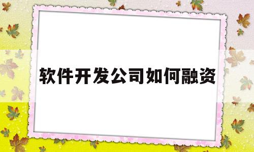 软件开发公司如何融资(软件开发公司如何融资成功)