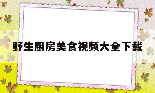 野生厨房美食视频大全下载(野生厨房美食视频大全下载软件)