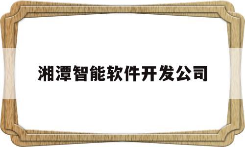 湘潭智能软件开发公司(湘潭智能软件开发公司排名)