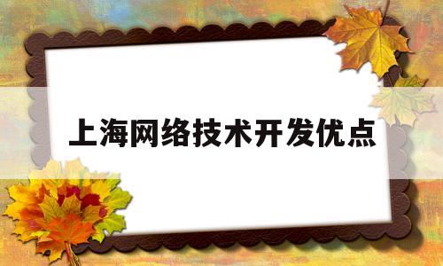 上海网络技术开发优点(网络科技开发是什么意思)