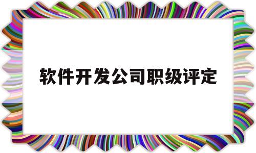 软件开发公司职级评定(软件开发公司职级评定标准)