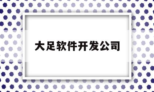 大足软件开发公司(大足软件开发公司有哪些)