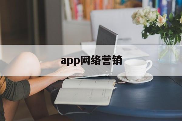 app网络营销(app网络营销策划方案)