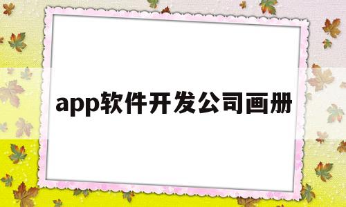 app软件开发公司画册(app软件开发公司画册怎么做)