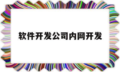 软件开发公司内网开发(软件开发公司内网开发什么意思)