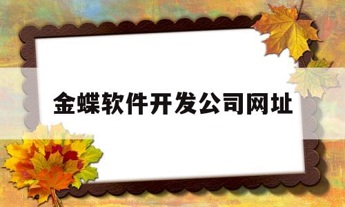 金蝶软件开发公司网址(金蝶软件开发公司网址是什么)