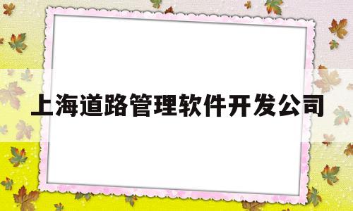 上海道路管理软件开发公司的简单介绍