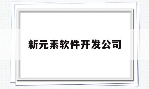 新元素软件开发公司(新元素软件开发公司简介)