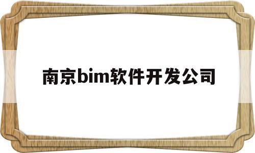 南京bim软件开发公司(南京bim软件开发公司有哪些)