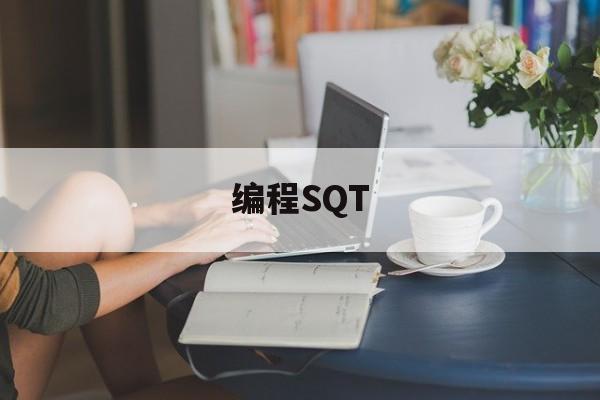 编程SQT(编程square软件)