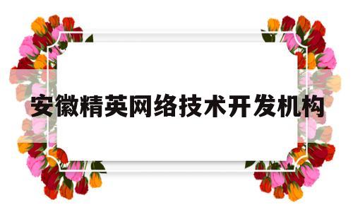 安徽精英网络技术开发机构(安徽精英网络技术开发机构有哪些)