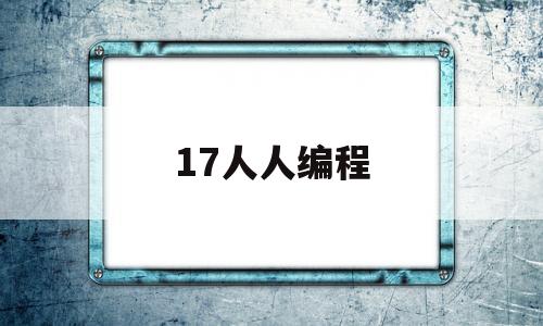 17人人编程(人人开源代码生成器)