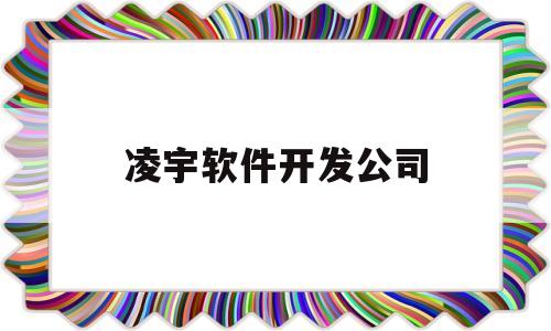 凌宇软件开发公司(凌宇软件开发公司简介)