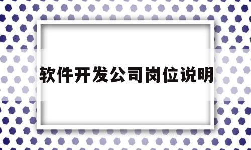 软件开发公司岗位说明(软件开发公司岗位说明书模板)