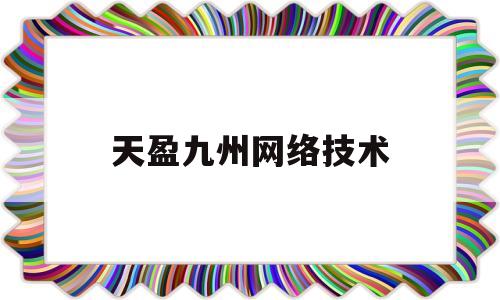 天盈九州网络技术(北京天盈九州网络有限公司)