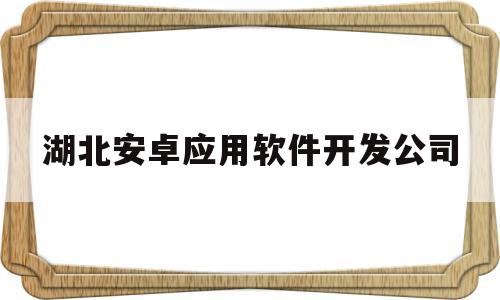 湖北安卓应用软件开发公司(湖北安卓应用软件开发公司排名)