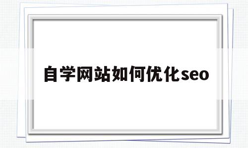 自学网站如何优化seo的简单介绍