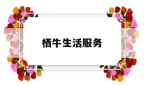 栖牛生活服务(栖牛民宿怎么样)