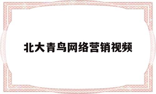 北大青鸟网络营销视频(北大青鸟的网络营销怎么样)