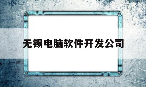 无锡电脑软件开发公司(无锡电脑软件开发公司排名)